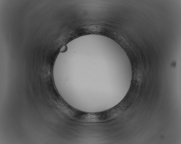 X0000091060518200708271158