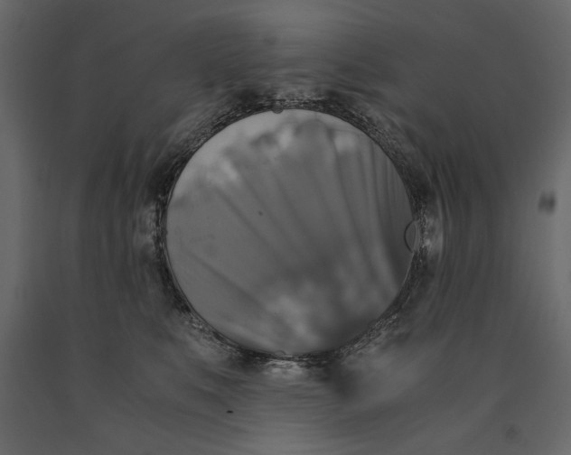 X0000091060519200708271158