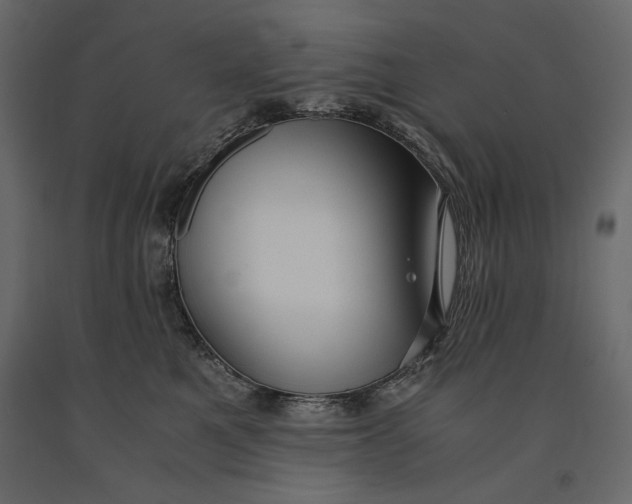 X0000091060521200708271158
