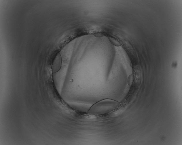 X0000091060523200708271158