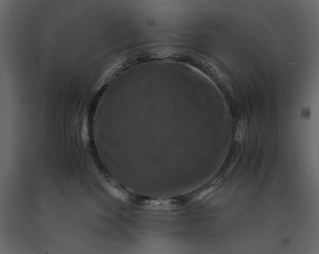 X0000091060524200708271158