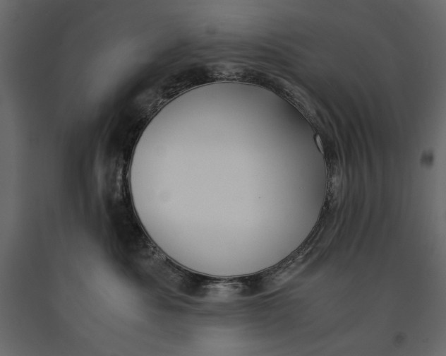 X0000091060525200708271158