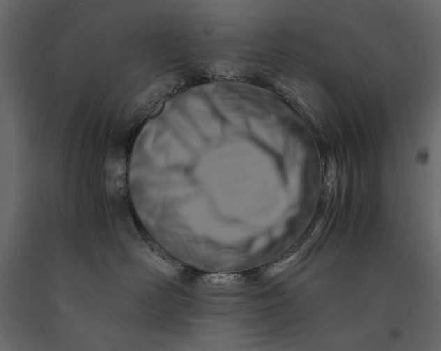 X0000091060526200708271158