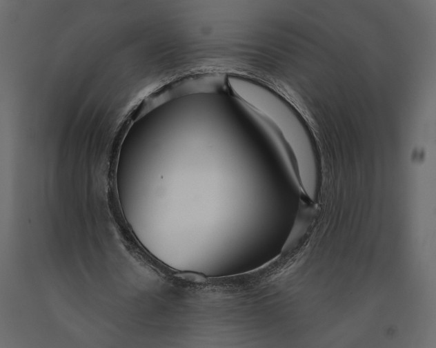 X0000091060530200708271158