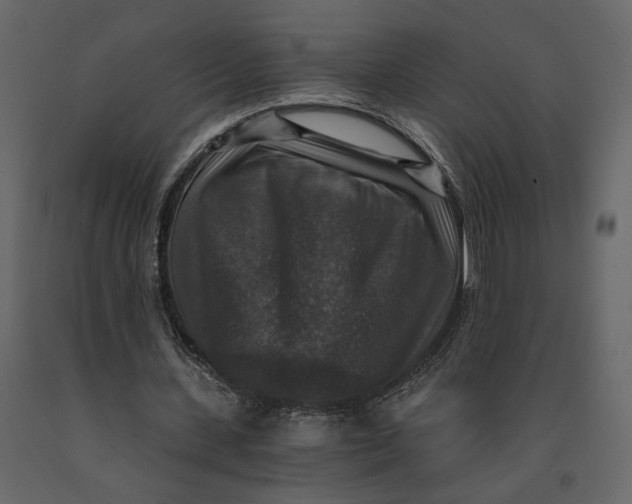 X0000091060531200708271158