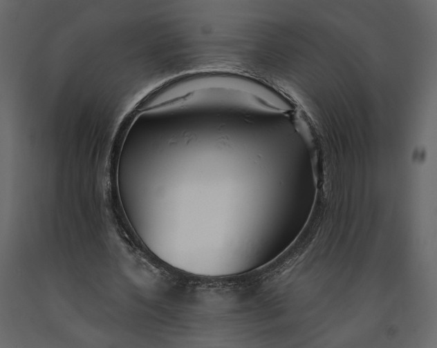 X0000091060532200708271158
