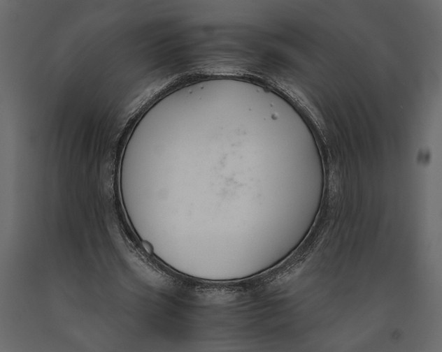 X0000091060533200708271158