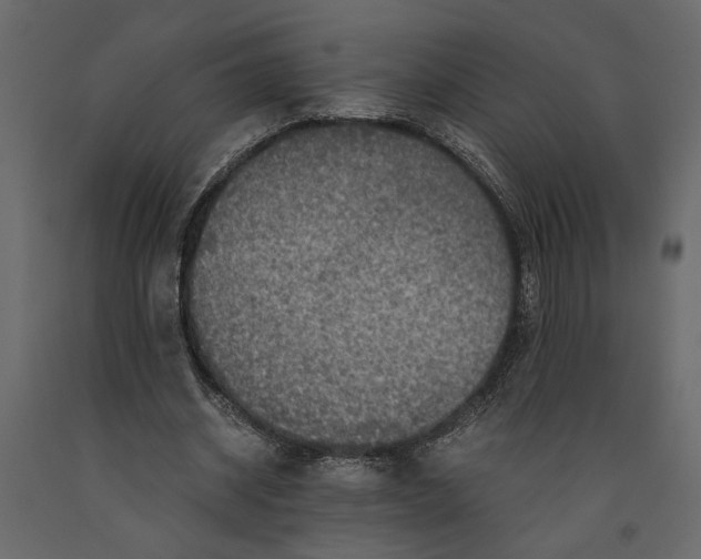 X0000091060534200708271158