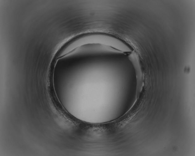 X0000091060536200708271158