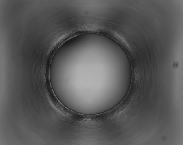 X0000091060538200708271158