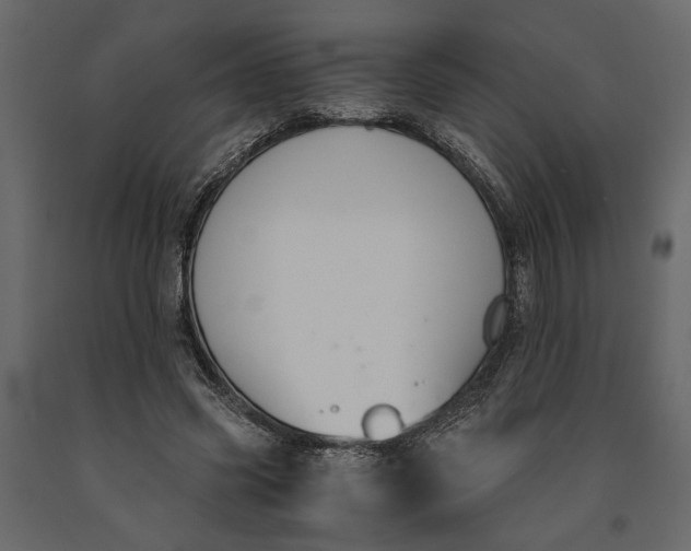 X0000091060541200708271158