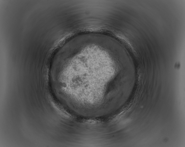 X0000091060542200708271158