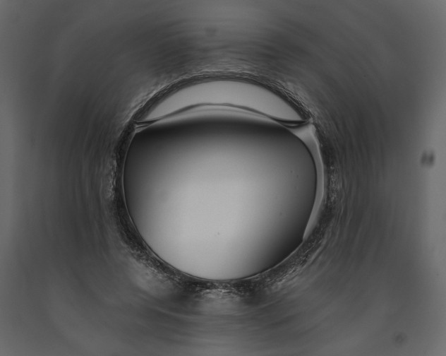 X0000091060544200708271158
