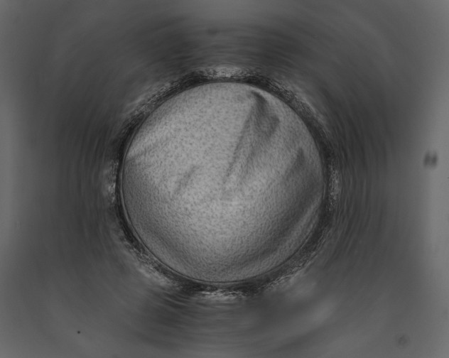 X0000091060545200708271158