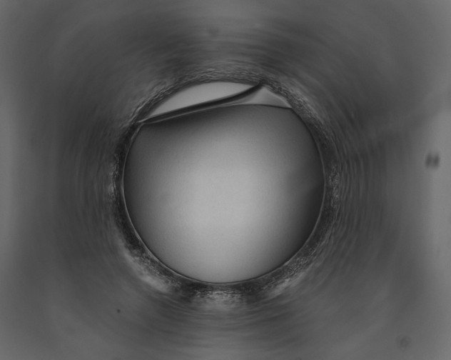 X0000091060546200708271158