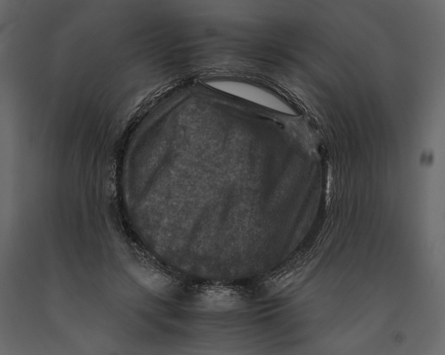 X0000091060547200708271158