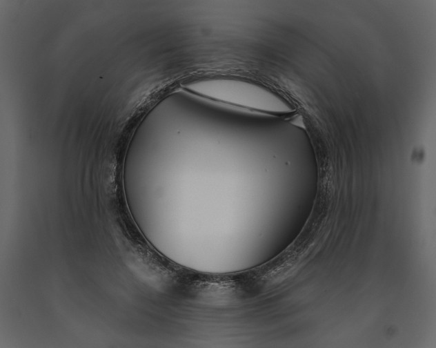 X0000091060548200708271158