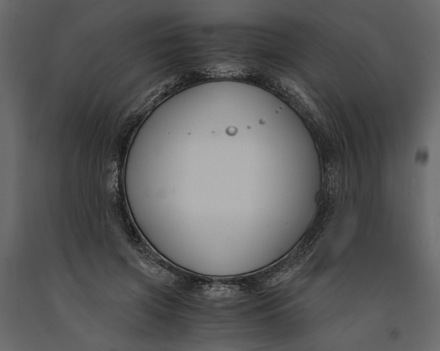 X0000091060549200708271158