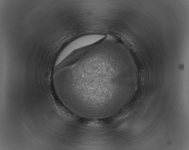 X0000091060550200708271158