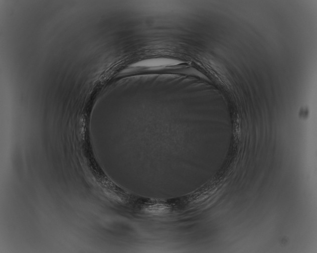 X0000091060551200708271158