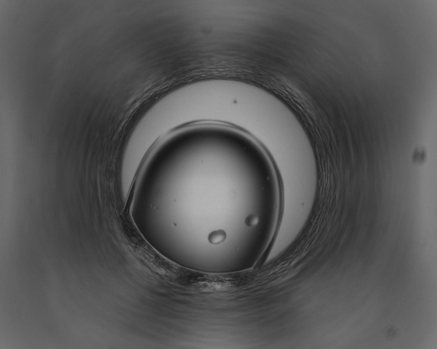 X0000091060552200708271158