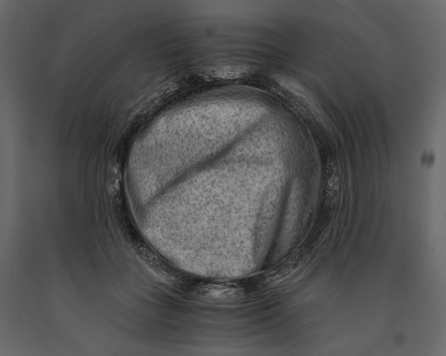 X0000091060555200708271158