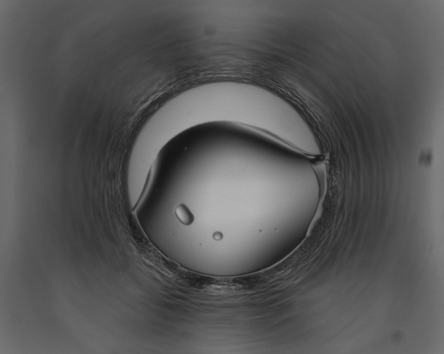 X0000091060556200708271158
