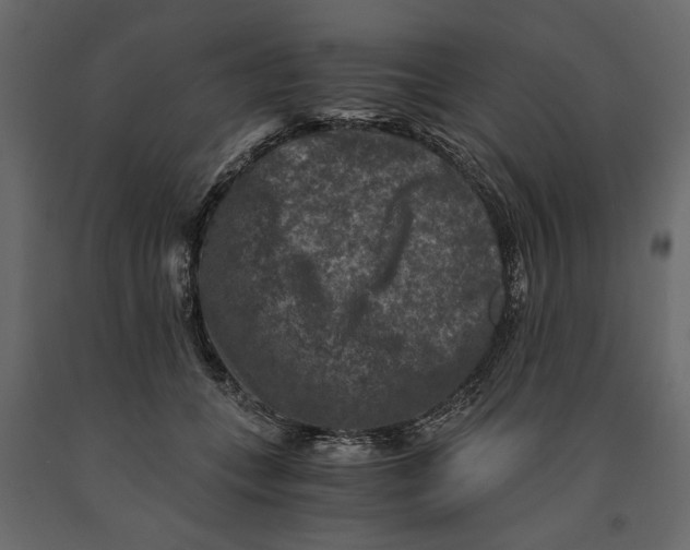 X0000091060559200708271158