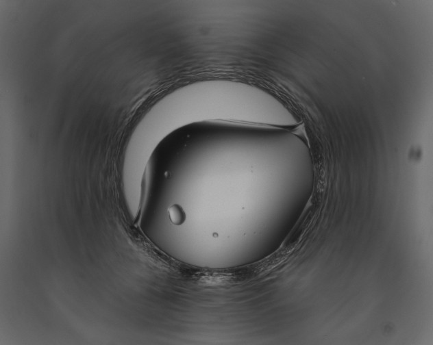 X0000091060560200708271158