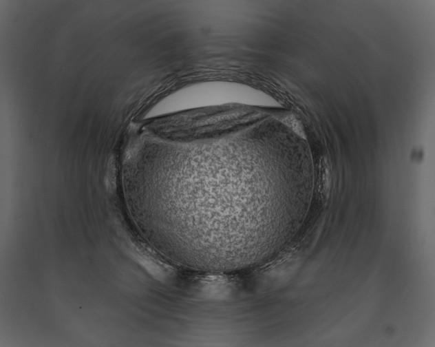 X0000091060562200708271158