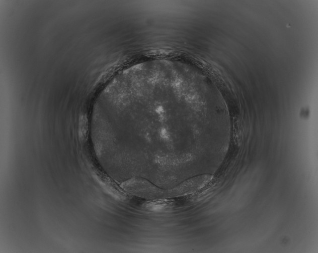 X0000091060563200708271158
