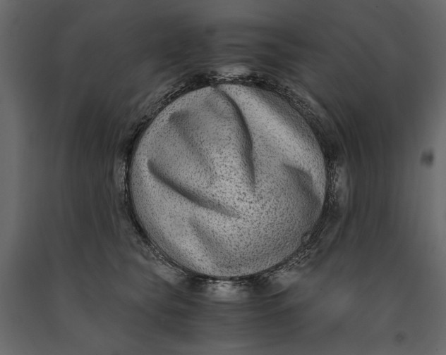 X0000091060565200708271158