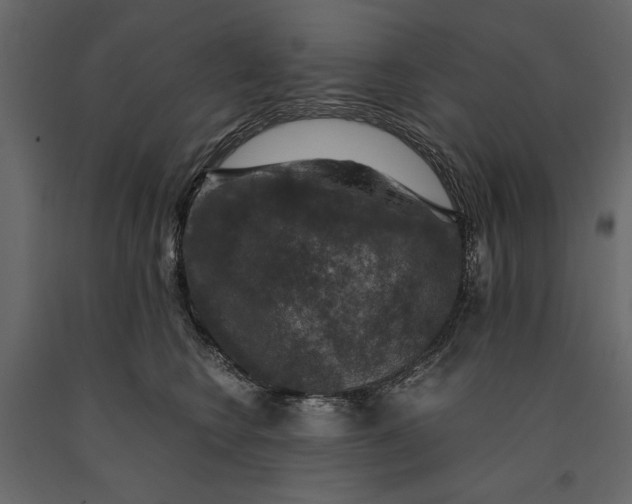 X0000091060566200708271158