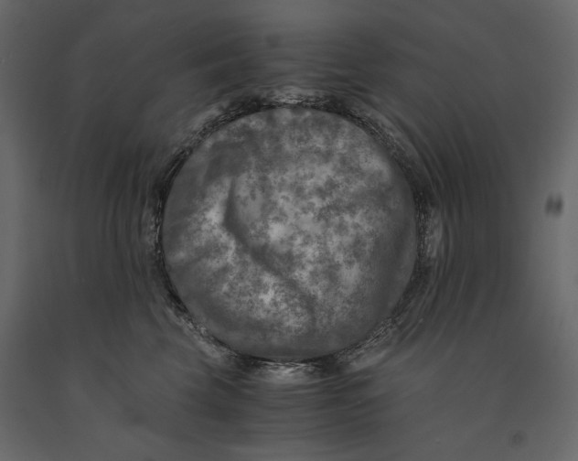X0000091060569200708271158