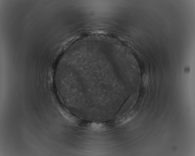 X0000091060570200708271158