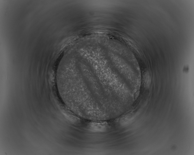 X0000091060571200708271158