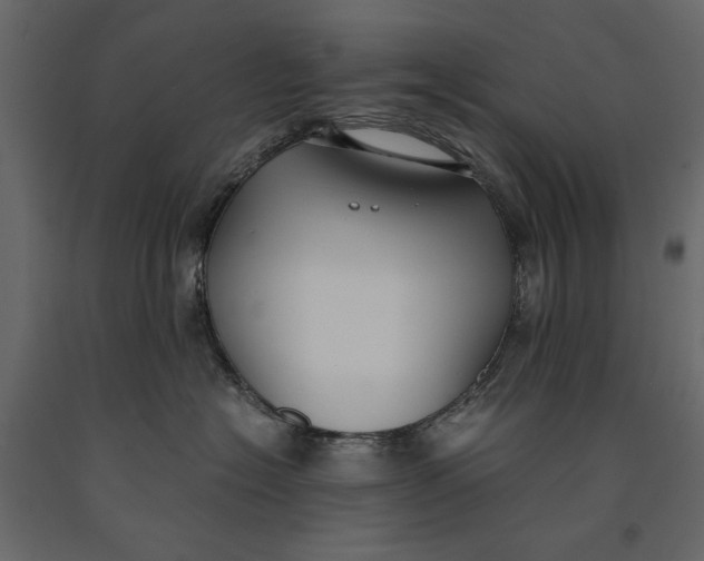 X0000091060574200708271158