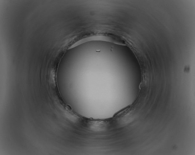 X0000091060575200708271158