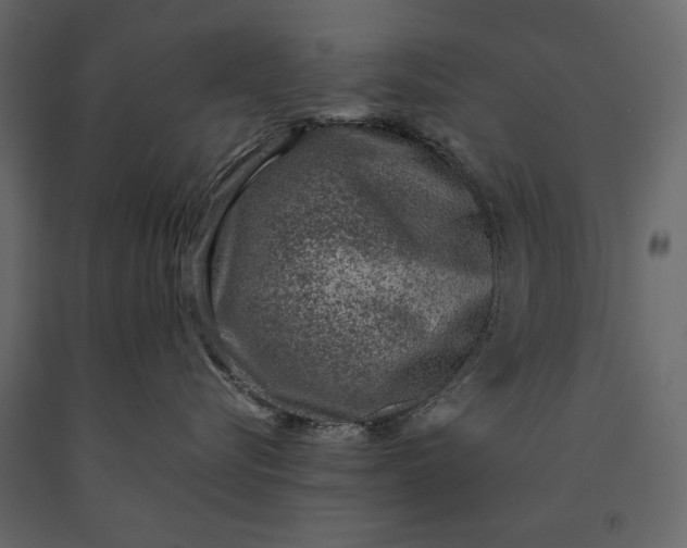 X0000091060576200708271158