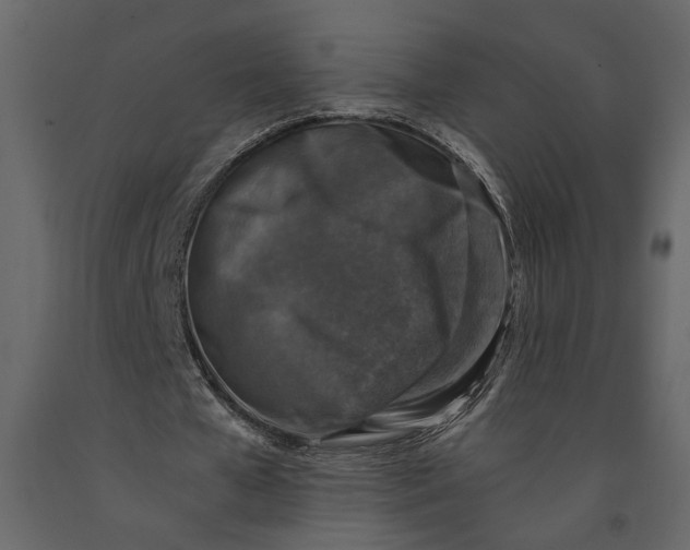 X0000091060577200708271157