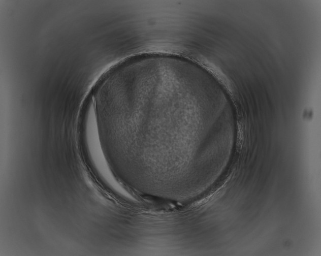 X0000091060580200708271157
