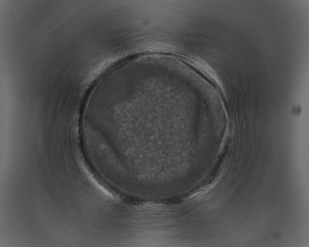 X0000091060581200708271157