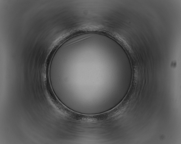 X0000091060582200708271157