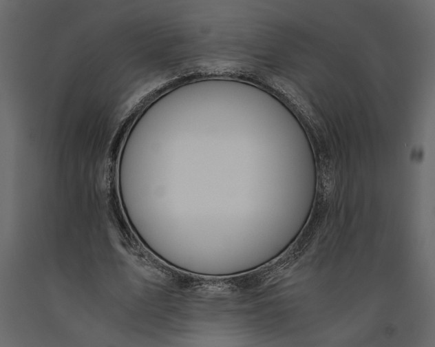 X0000091060583200708271157