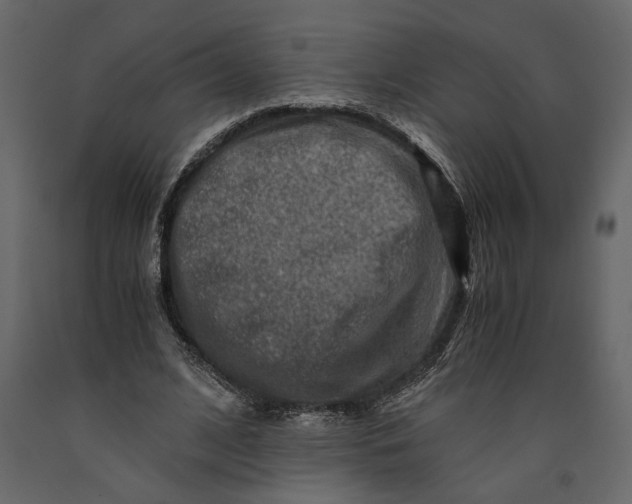 X0000091060584200708271157