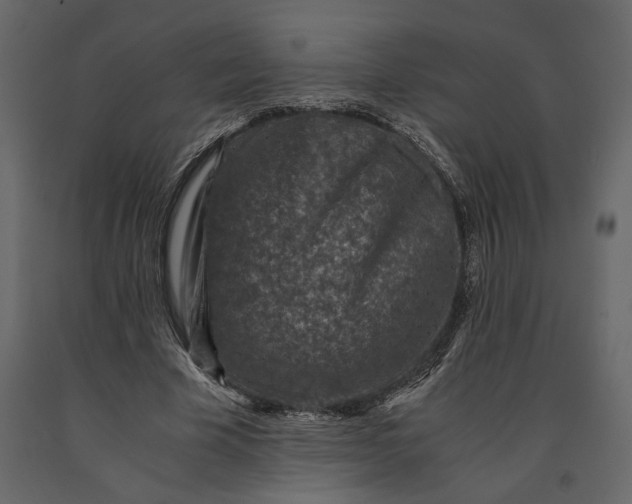 X0000091060585200708271157