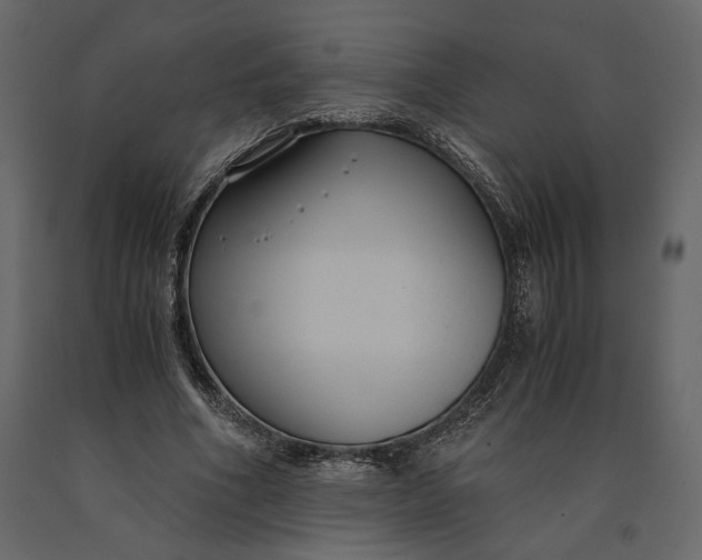 X0000091060586200708271157