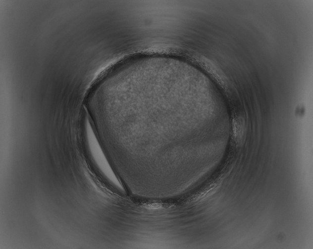 X0000091060588200708271157