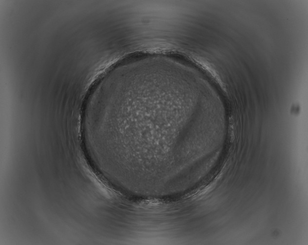 X0000091060589200708271157