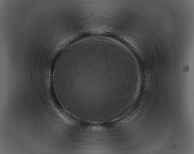 X0000091060590200708271157